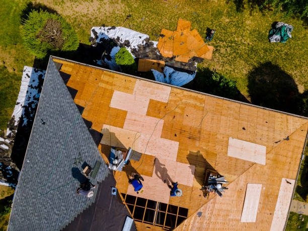 Best Roof Gutter Cleaning  in Hampshire, IL