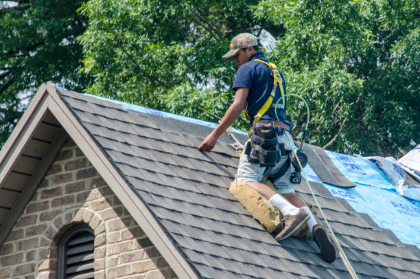 Best Roof Restoration Services  in Hampshire, IL